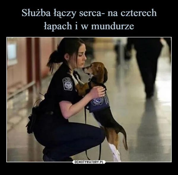 Służba łączy serca- na czterech łapach i w mundurze