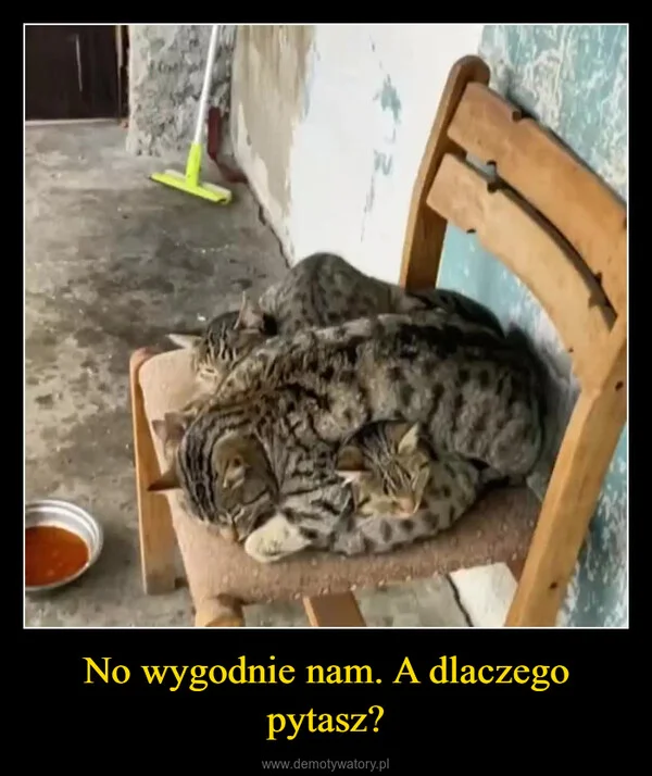 No wygodnie nam. A dlaczego pytasz?