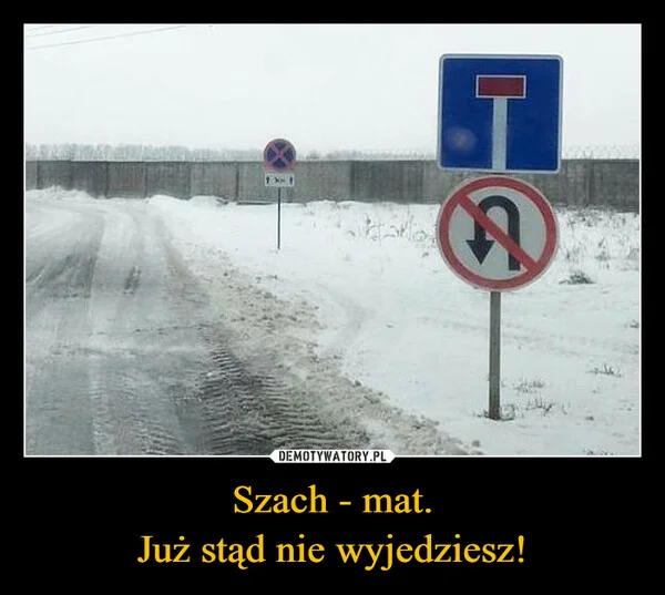 Szach - mat. Już stąd nie wyjedziesz!