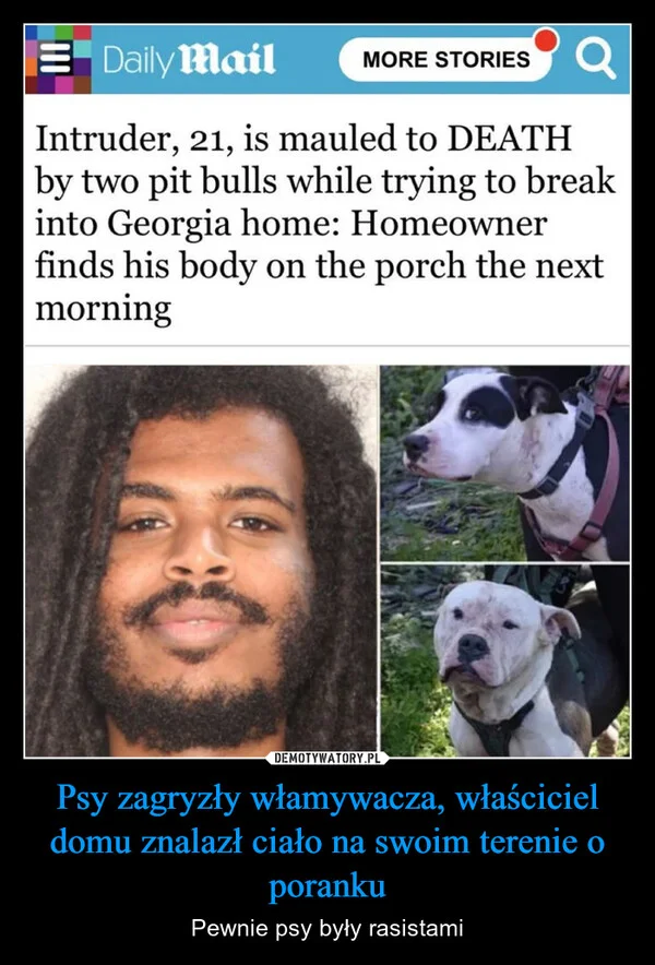 Psy zagryzły włamywacza, właściciel domu znalazł ciało na swoim terenie o poranku