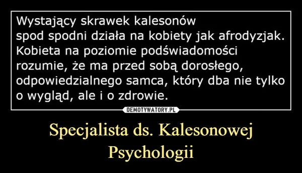 
    Specjalista ds. Kalesonowej Psychologii