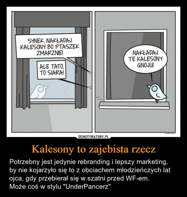 
    Kalesony to zajebista rzecz