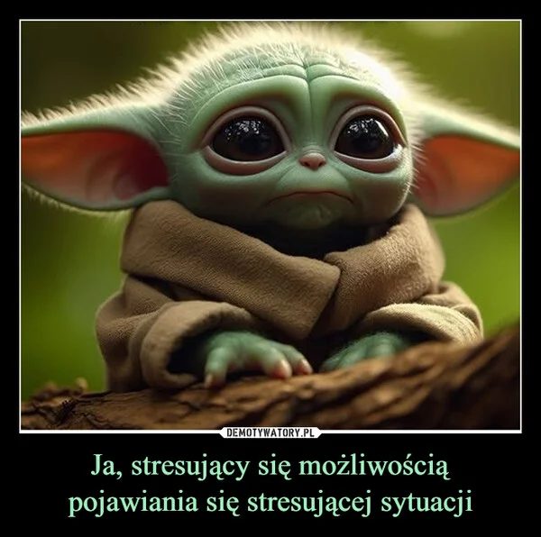 Ja, stresujący się możliwością pojawiania się stresującej sytuacji