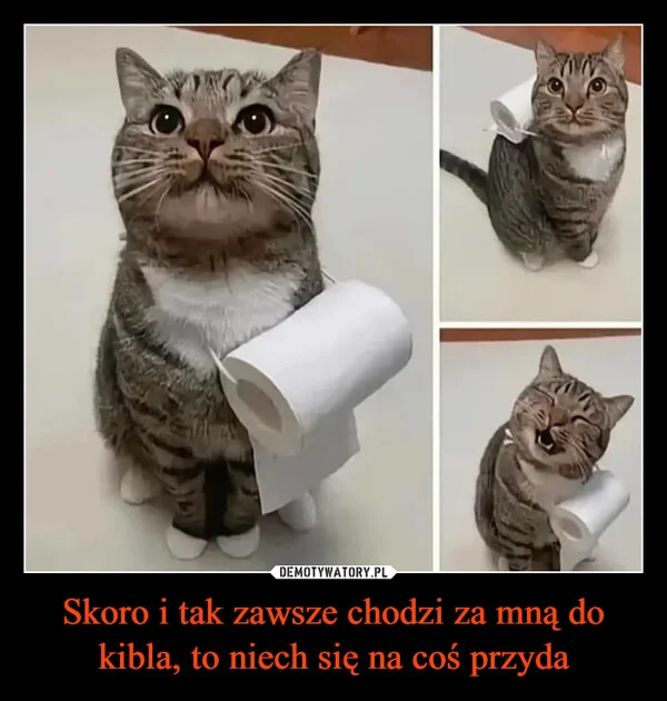 Skoro i tak zawsze chodzi za mną do kibla, to niech się na coś przyda