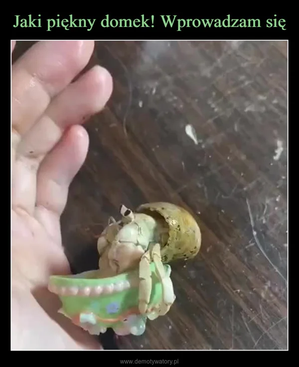 Jaki piękny domek! Wprowadzam się