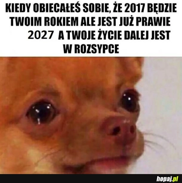 Dobrze idzie