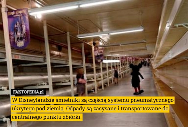 
    W Disneylandzie śmietniki są częścią systemu pneumatycznego ukrytego pod