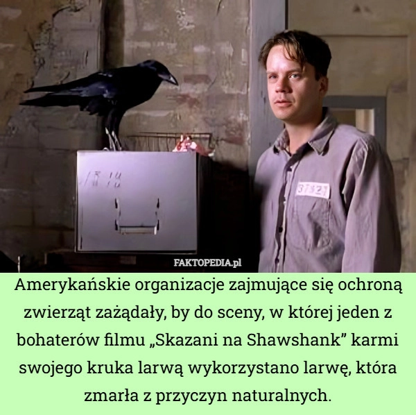 Amerykańskie organizacje zajmujące się ochroną zwierząt zażądały, by do