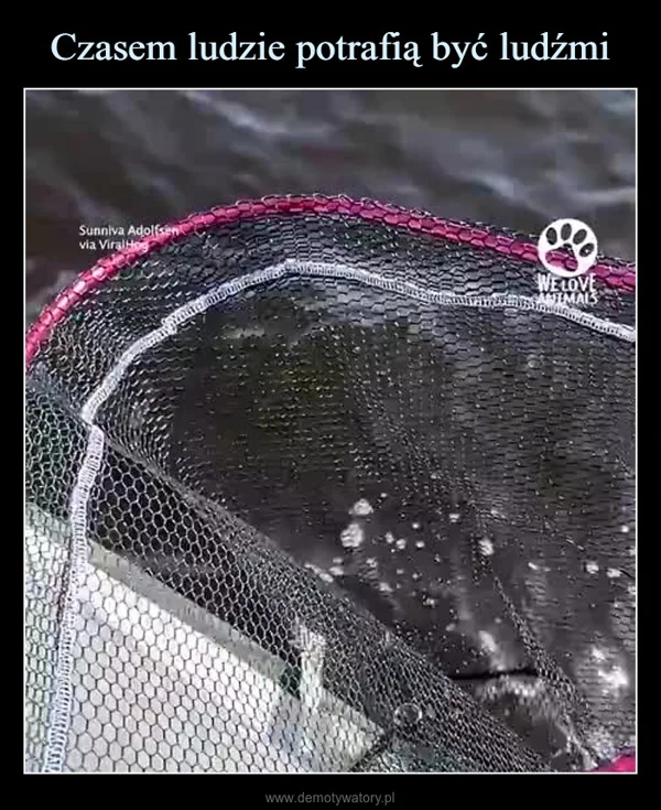Czasem ludzie potrafią być ludźmi