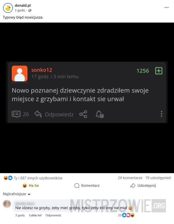 
    W grzybobraniu nie chodzi o zbieranie grzybów