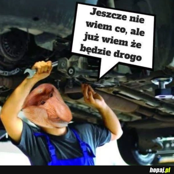 
    Tak coś czuję