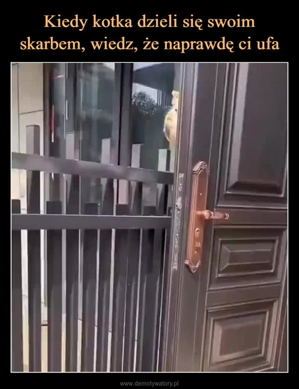 
    Kiedy kotka dzieli się swoim skarbem, wiedz, że naprawdę ci ufa