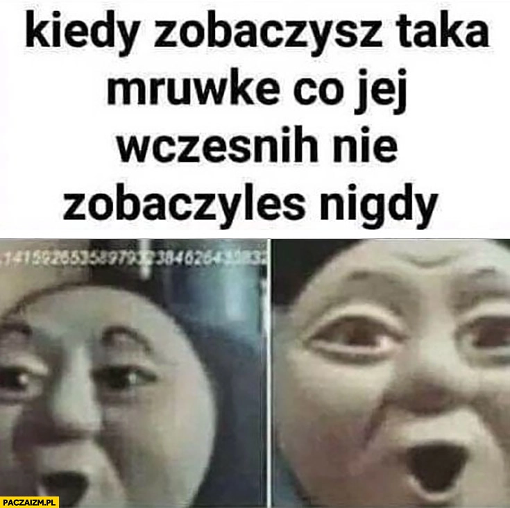 Kiedy zobaczysz taką mrówkę co jej wcześniej nie zobaczyłeś nigdy zdziwiony pociąg