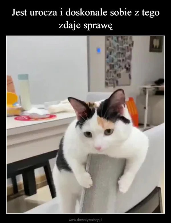 
    Jest urocza i doskonale sobie z tego zdaje sprawę