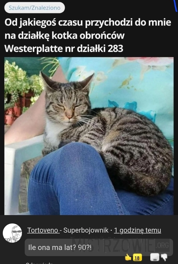 
    Przeżyła obronę Westerplatte - szacun!