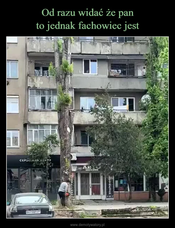 Od razu widać że pan to jednak fachowiec jest