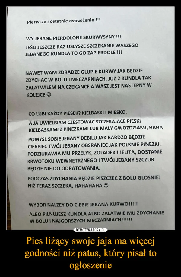 Pies liżący swoje jaja ma więcej godności niż patus, który pisał to ogłoszenie