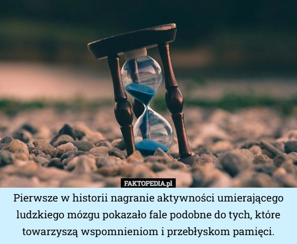 Pierwsze w historii nagranie aktywności umierającego ludzkiego mózgu pokazało...