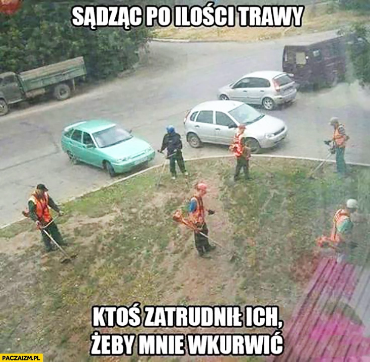 Sądząc po ilości trawy ktoś zatrudnił ich żeby mnie wkurzyć koszenie trawy
