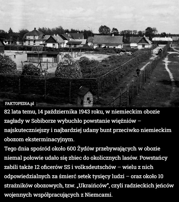 82 lata temu, 14 października 1943 roku, w niemieckim obozie zagłady w Sobiborze
