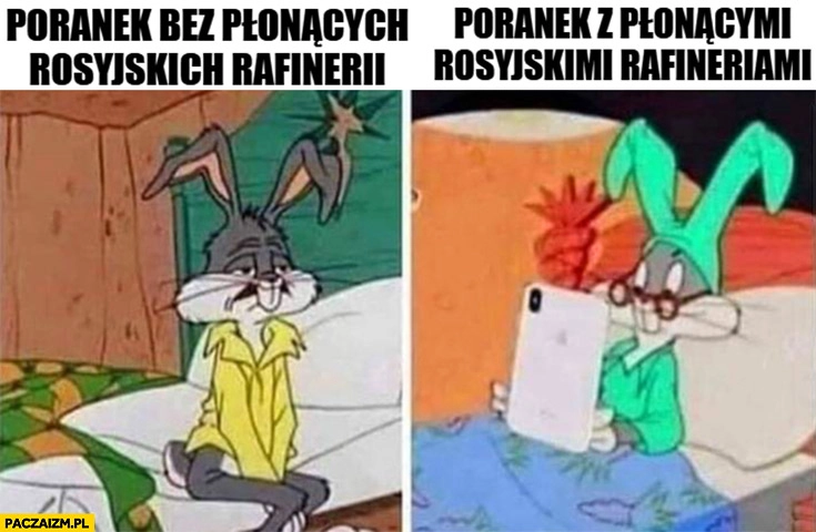 Poranek z płonącymi rosyjskimi rafineriami vs bez królik bugs