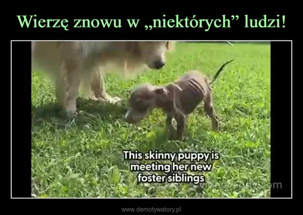 Wierzę znowu w „niektórych” ludzi!