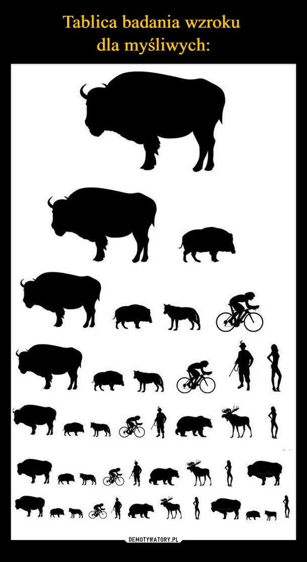 Tablica badania wzroku dla myśliwych: