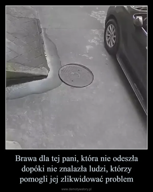 
    Brawa dla tej pani, która nie odeszła dopóki nie znalazła ludzi, którzy pomogli jej zlikwidować problem