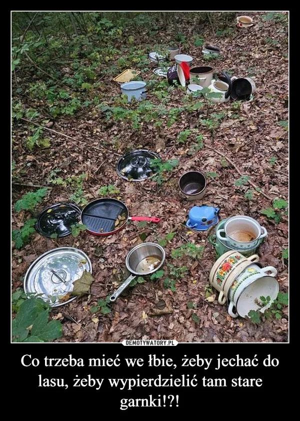 Co trzeba mieć we łbie, żeby jechać do lasu, żeby wypierdzielić tam stare garnki!?!