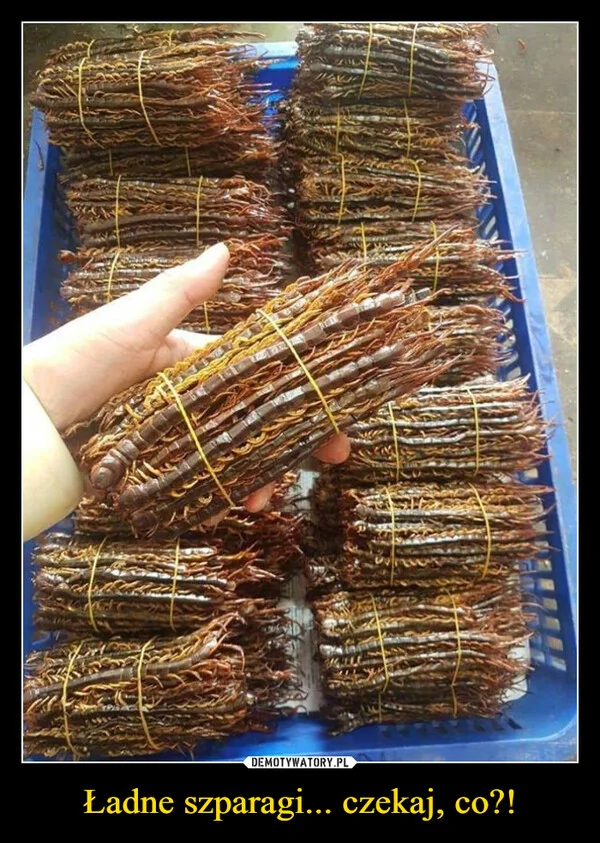 Ładne szparagi... czekaj, co?!