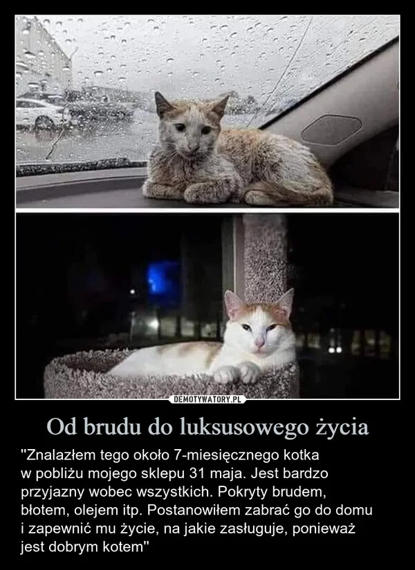 Od brudu do luksusowego życia