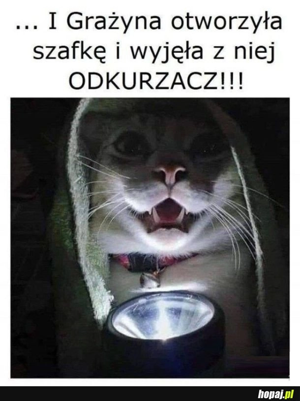 Odkurzacz xd