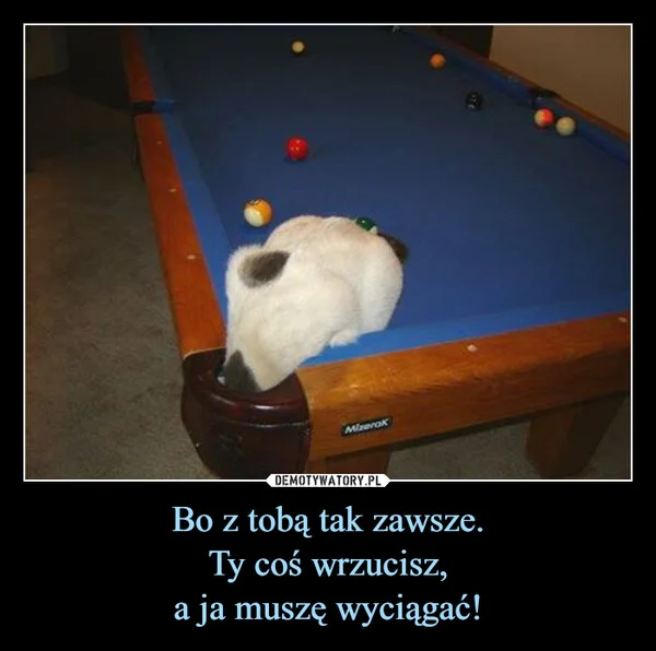 Bo z tobą tak zawsze. Ty coś wrzucisz, a ja muszę wyciągać!