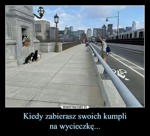 Kiedy zabierasz swoich kumpli na wycieczkę...