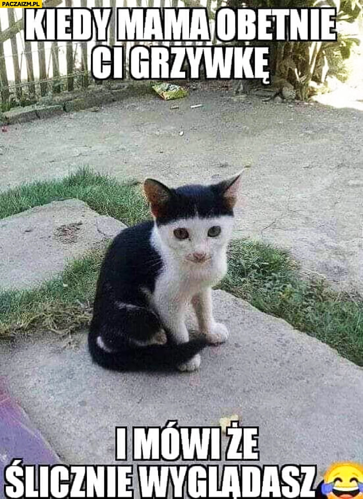 Kiedy mama obetnie Ci grzywkę i mówi, że wyglądasz ślicznie kot