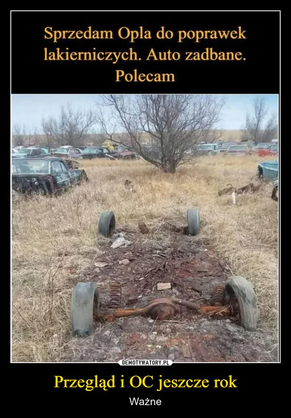 Przegląd i OC jeszcze rok