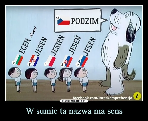W sumie ta nazwa ma sens