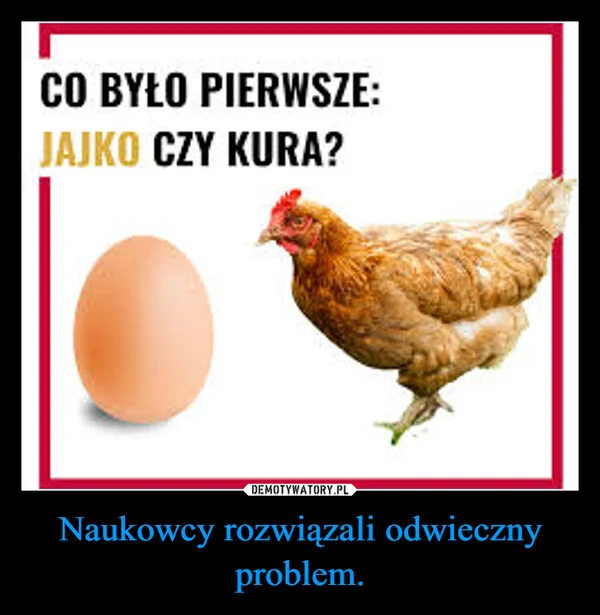 Naukowcy rozwiązali odwieczny problem.
