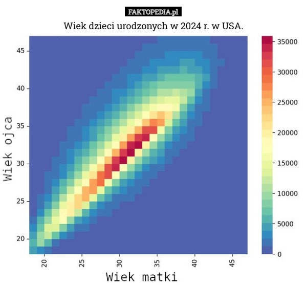 Wiek dzieci urodzonych w 2024 r. w USA.