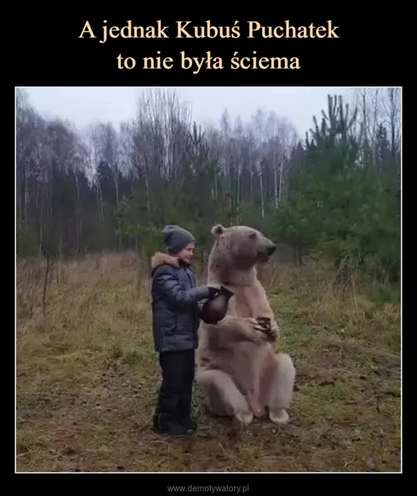 
    A jednak Kubuś Puchatek to nie była ściema