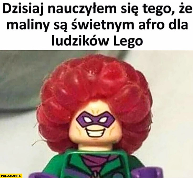 Dzisiaj nauczyłem się, że maliny są świetnym afro dla ludzików Lego