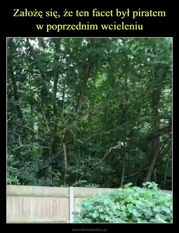 Założę się, że ten facet był piratem w poprzednim wcieleniu
