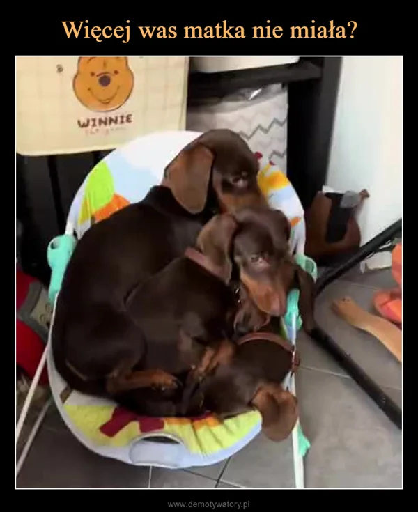 Więcej was matka nie miała?