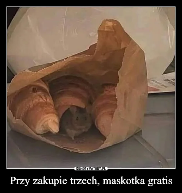 Przy zakupie trzech, maskotka gratis