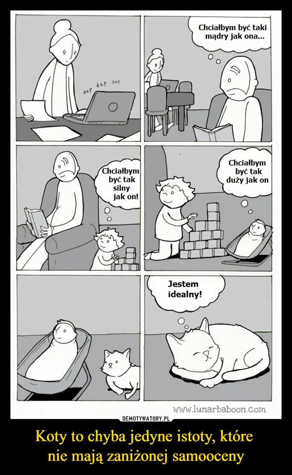 Koty to chyba jedyne istoty, które nie mają zaniżonej samooceny