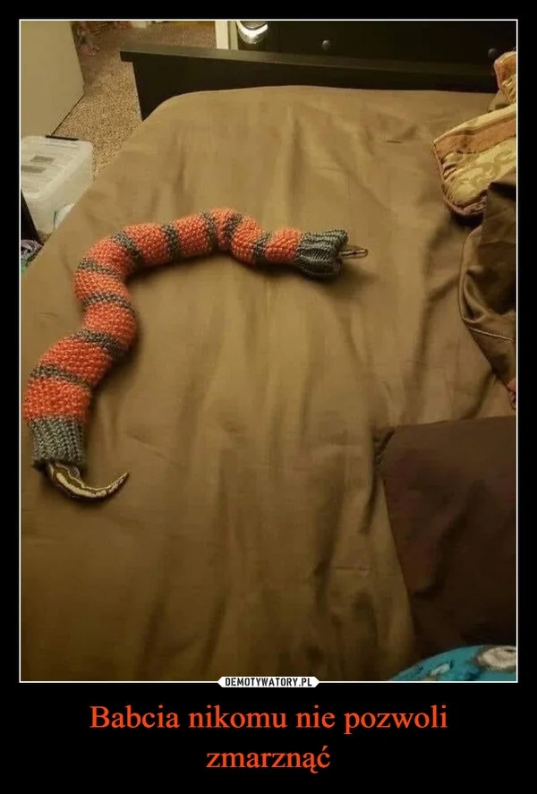 Babcia nikomu nie pozwoli zmarznąć