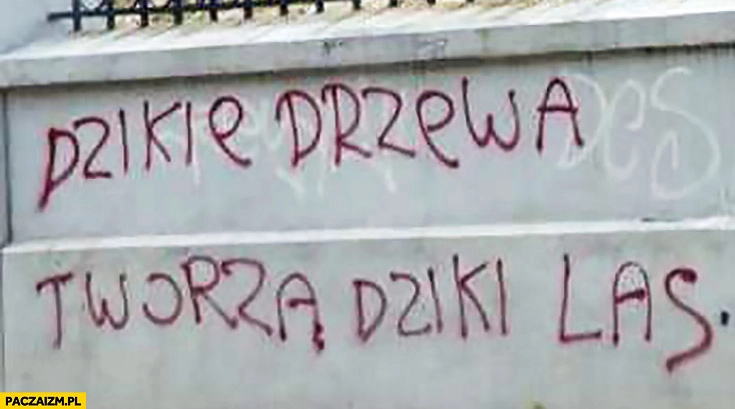 Dzikie drzewa tworzą dziki las napis na murze