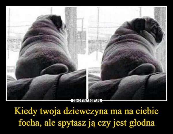 Kiedy twoja dziewczyna ma na ciebie focha, ale spytasz ją czy jest głodna