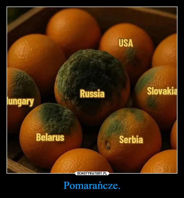 Pomarańcze.
