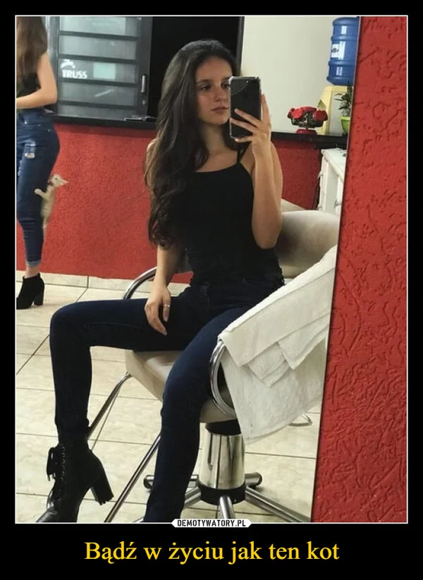 Bądź w życiu jak ten kot